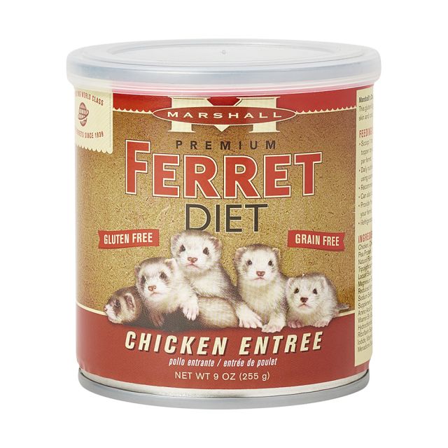 Marshall premium 2024 ferret diet