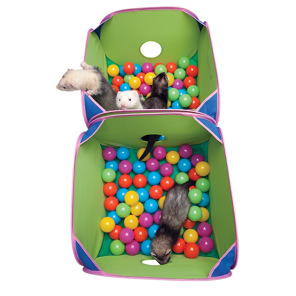 pop n play ball pit for ferrets
